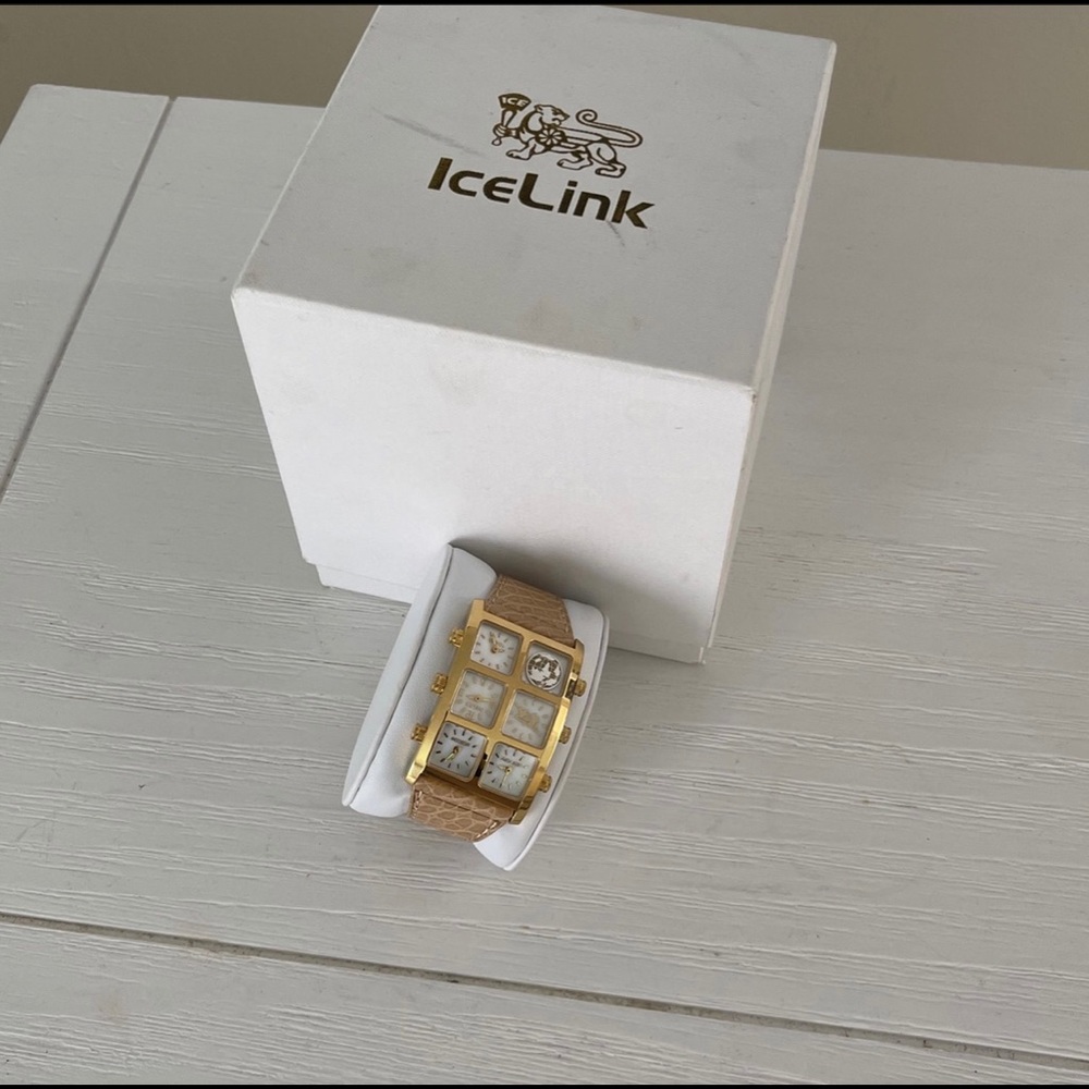IceLink watch